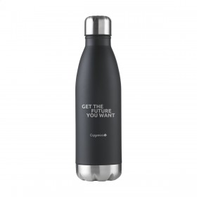 Insulated bottle
